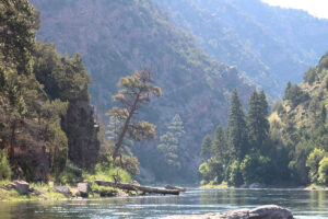 Flaming Gorge one day rafting trip