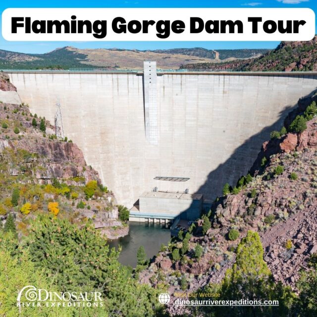 Things To Do Flaming Gorge Recreation Area (2)