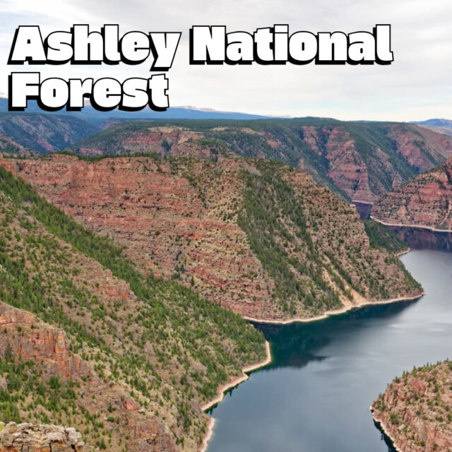 Ashley nation forest and the green river