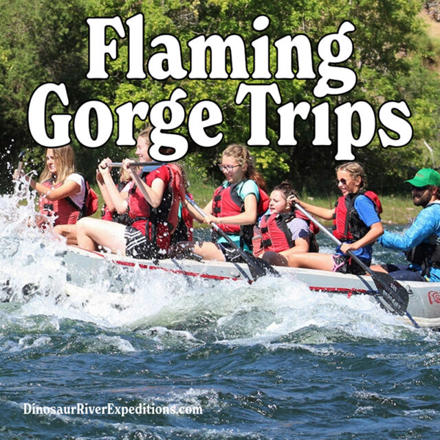 flaming gorge family rafting trips