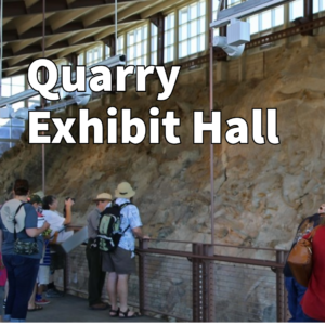 quarry exhibit hall