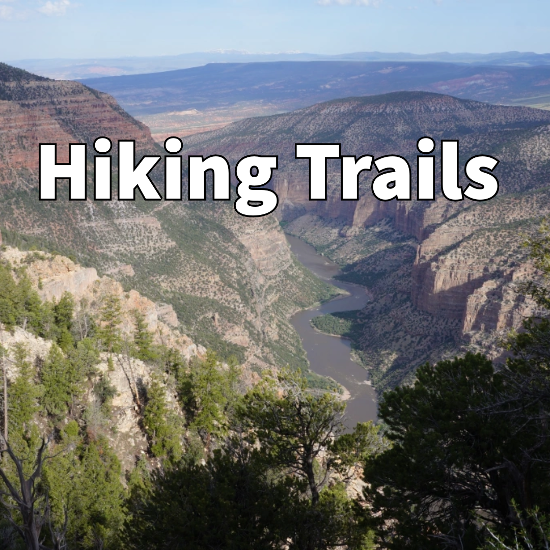 Things to do Dinosaur National Monument