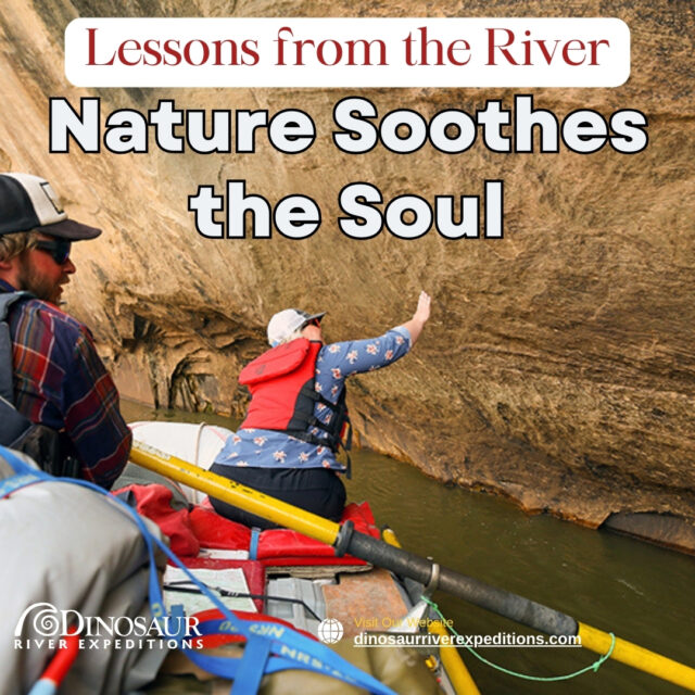 Lessons from the River nature sooths the soul