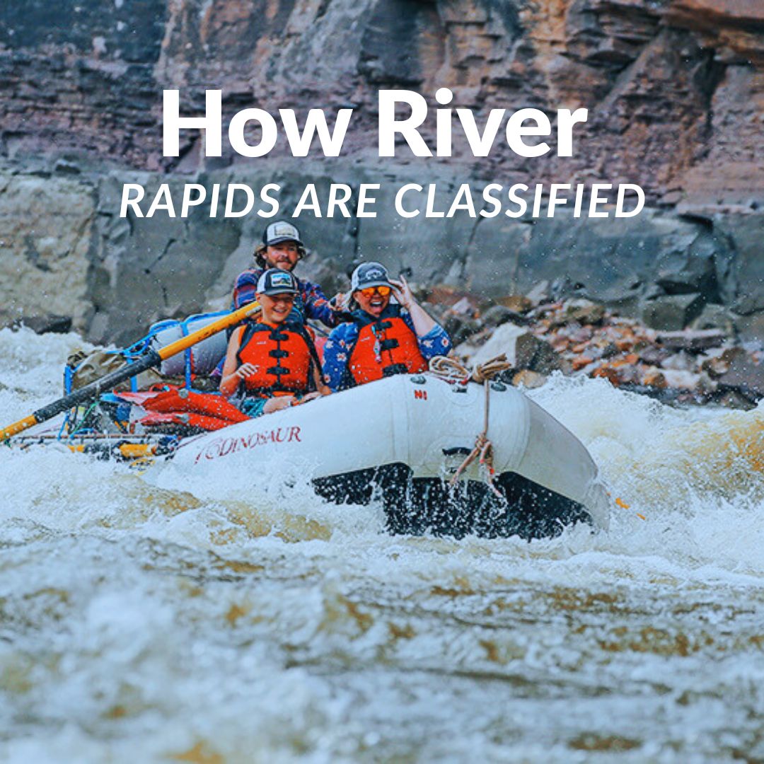Colorado River Rapids