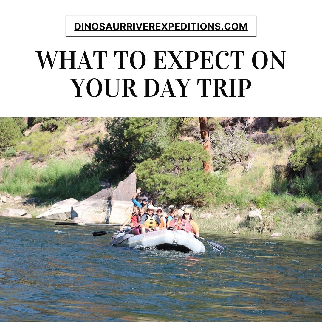 what to expect on white water rafting 1 day trips in Utah