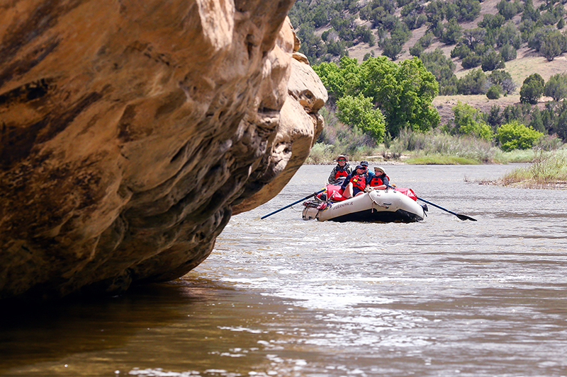 yampa river rafting